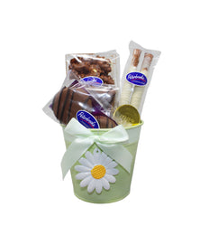 Daisy Gift Tin
