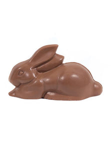 Solid chocolate bunny 