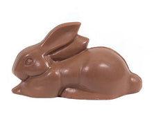 solid chocolate bunny